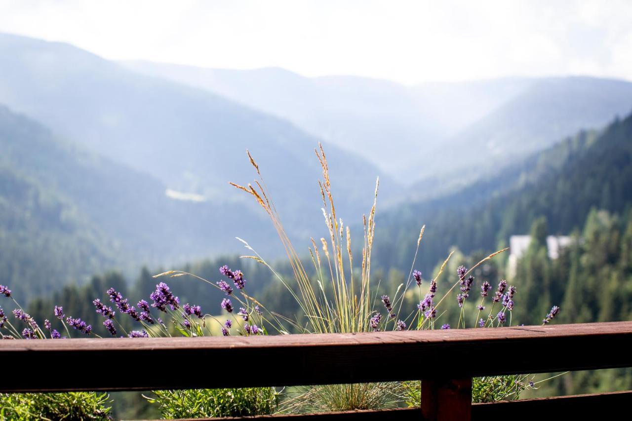 Bergblick Ruhe Und Aussicht Auf 1100M Apartman Sankt Lorenzen ob Murau Kültér fotó